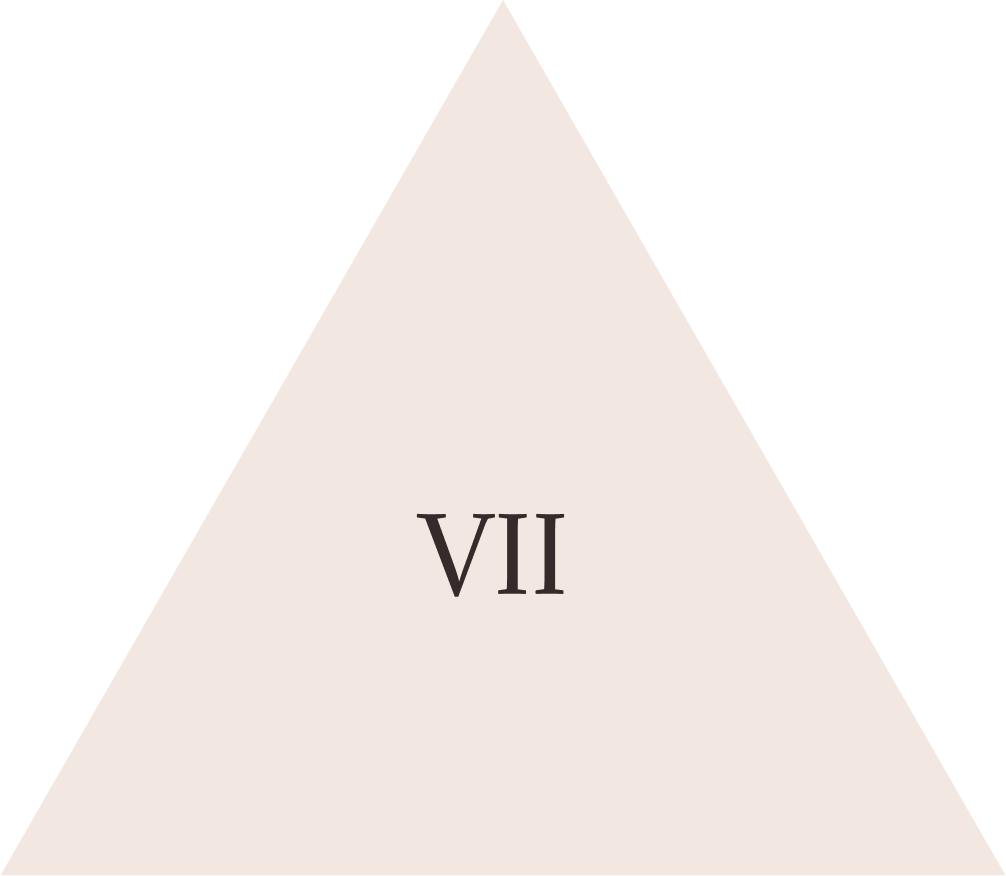 Vii